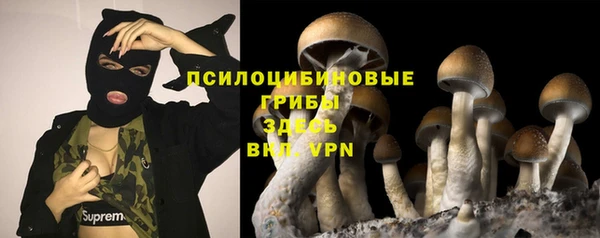стафф Новокубанск