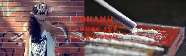стафф Новокубанск