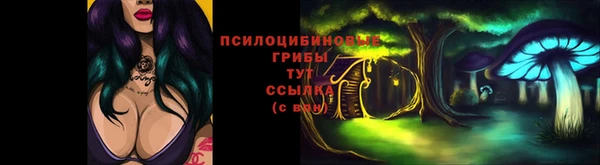 PSILOCYBIN Видное