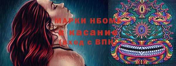 стафф Новокубанск
