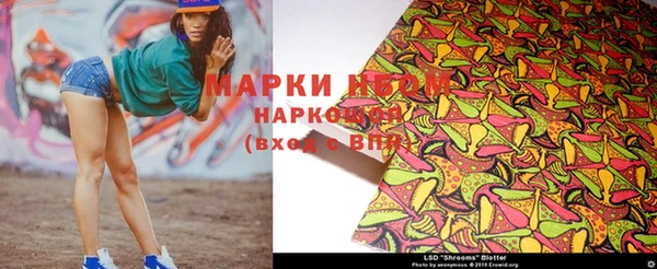 стафф Новокубанск