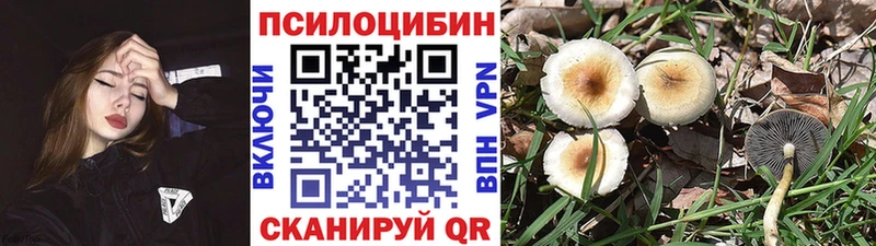 Псилоцибиновые грибы Cubensis  Струнино 